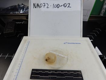 Media type: image;   Invertebrate Zoology 139304